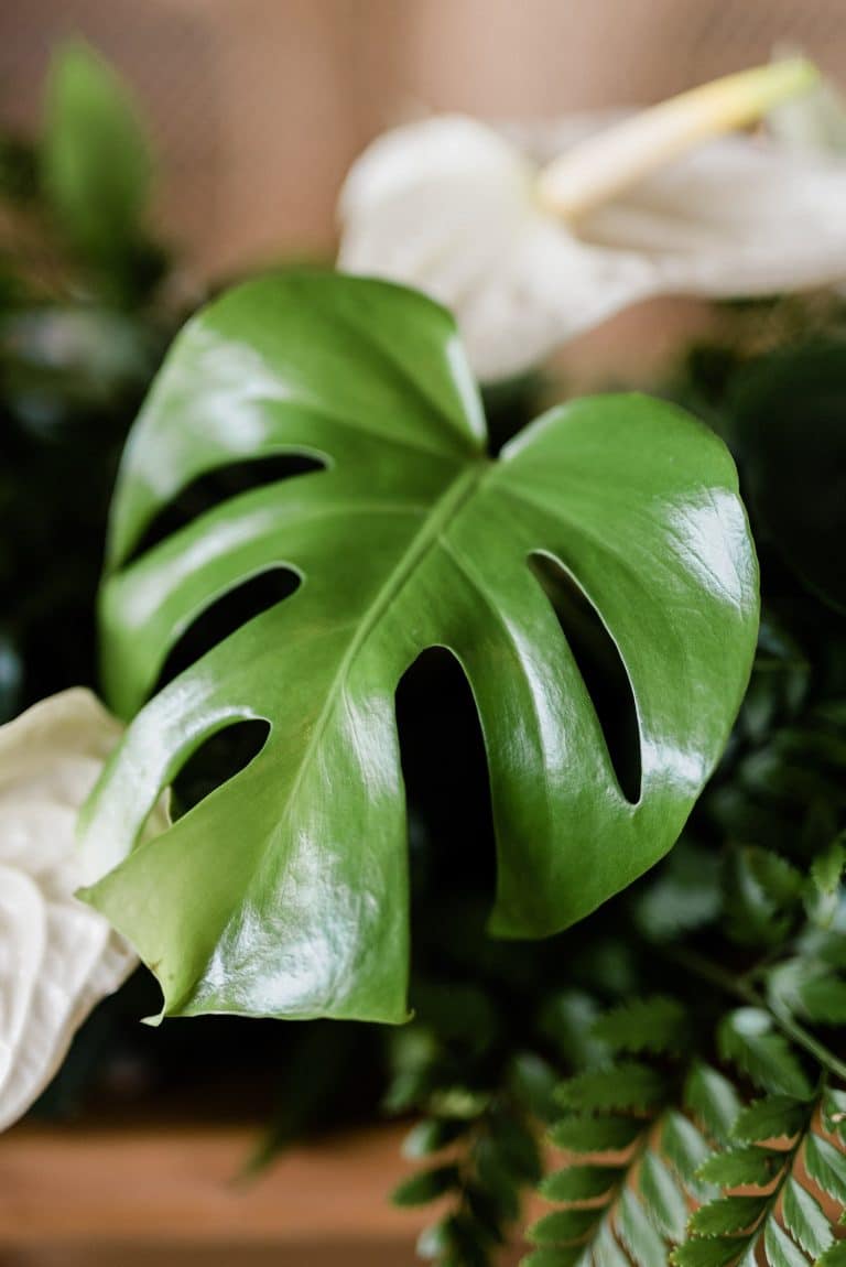 delicious-monster-wedding-centrepiece