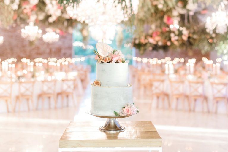 pastel blue and pink wedding cake