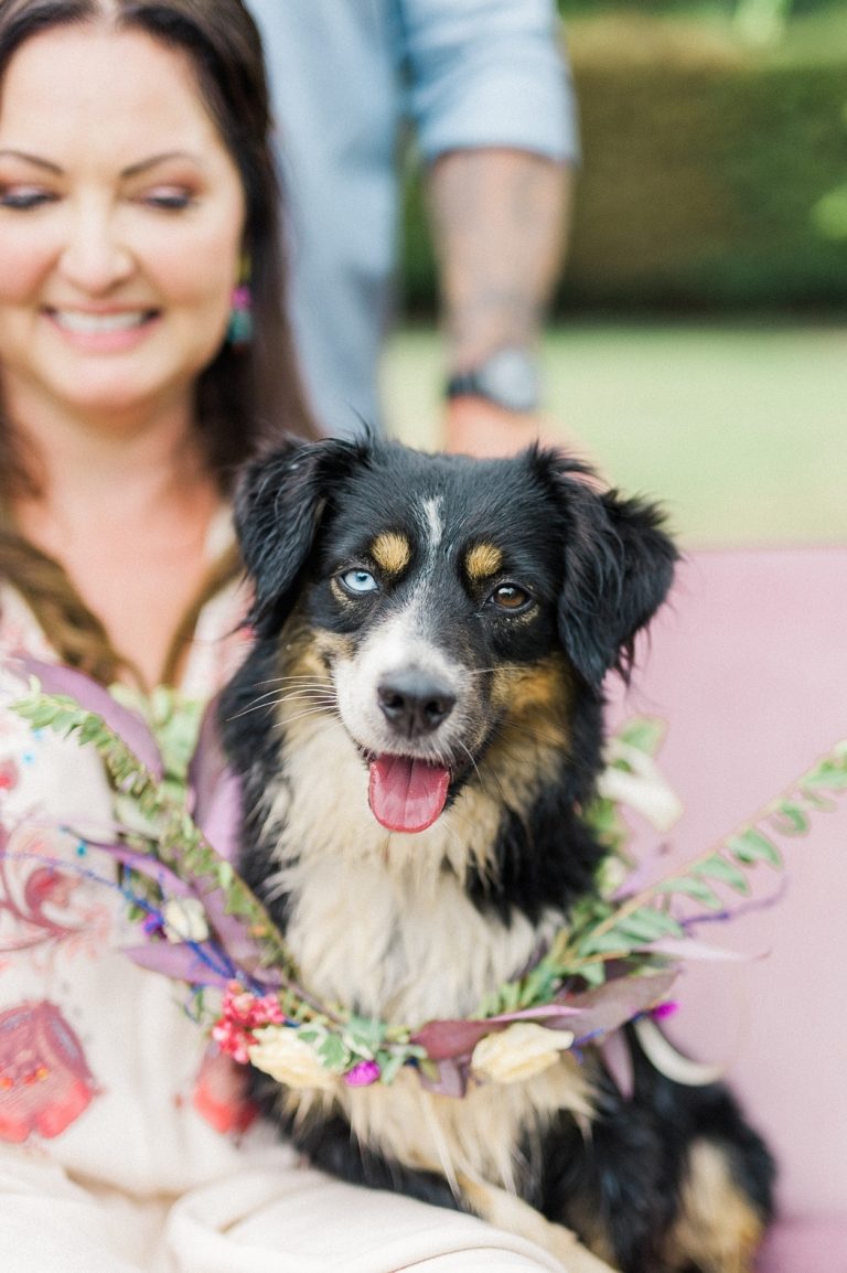 bride with dog
